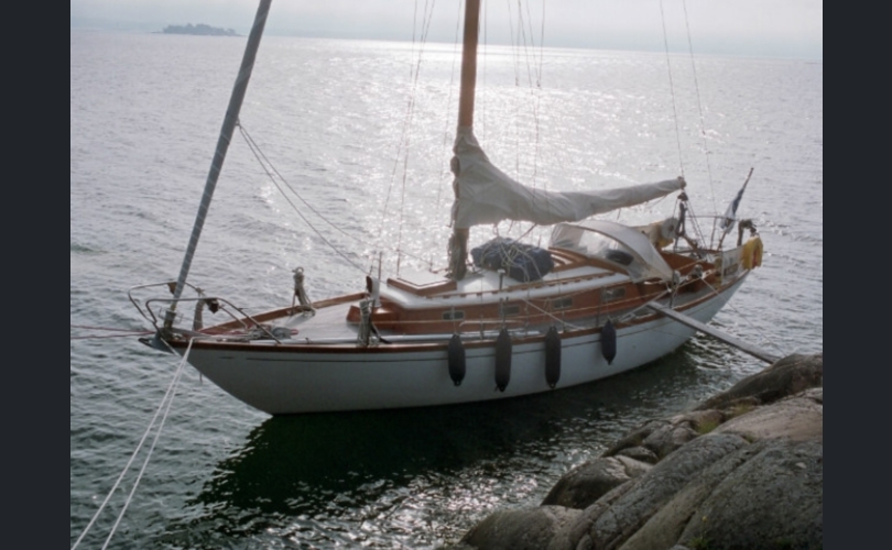 Mahonkivene Arietta-kuva-3